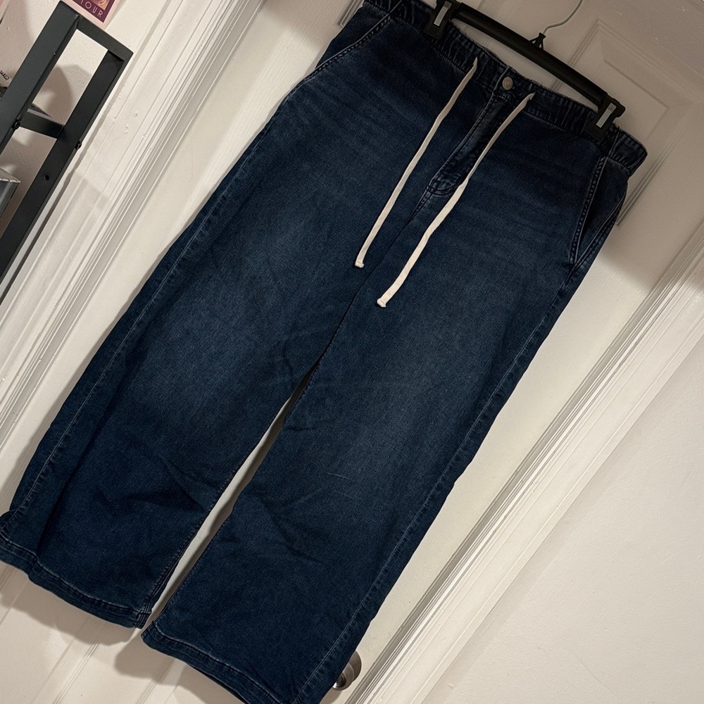 American Eagle Outfitters Low Rise Baggy Wide Leg